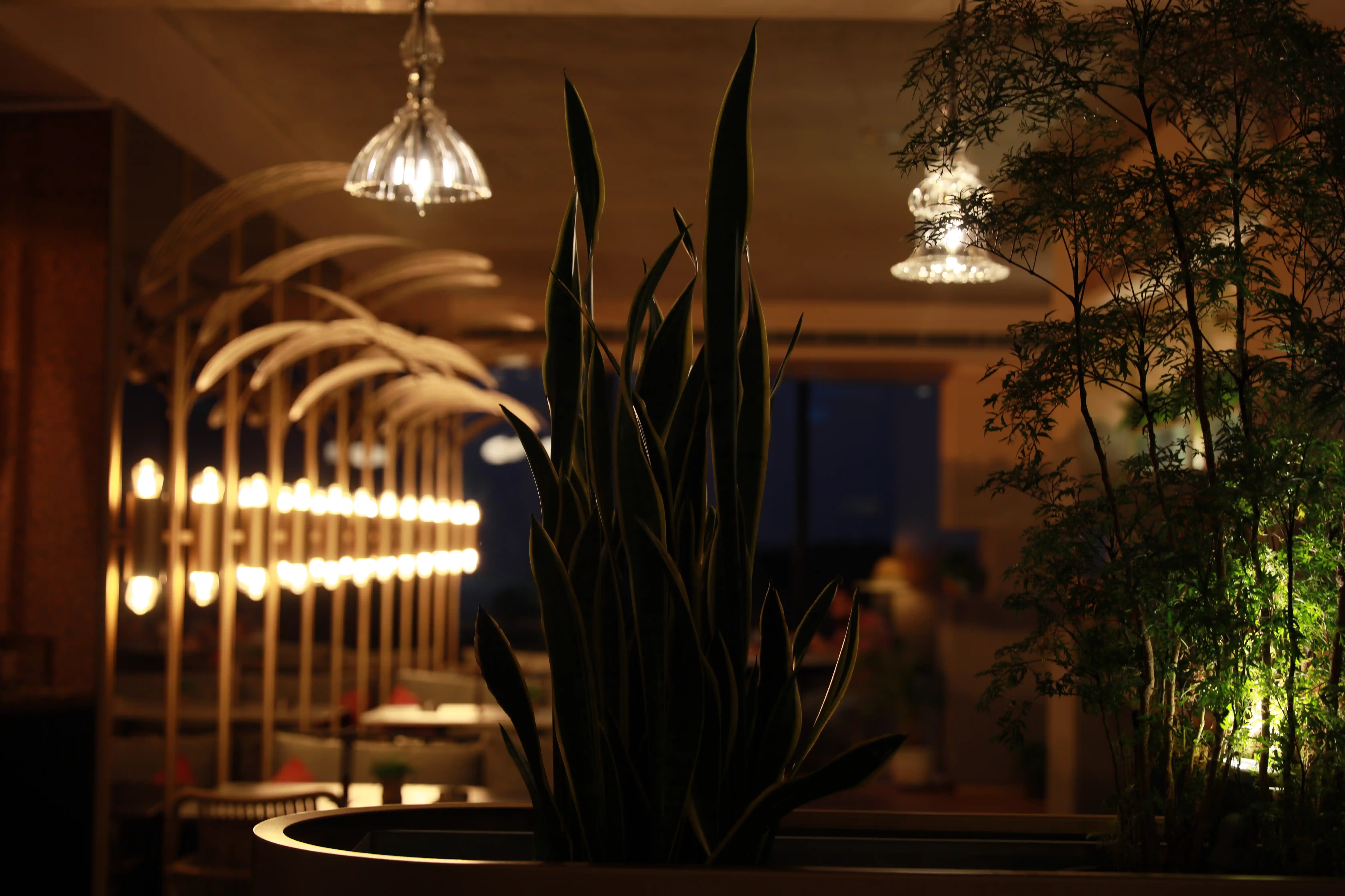 broumana yard experience