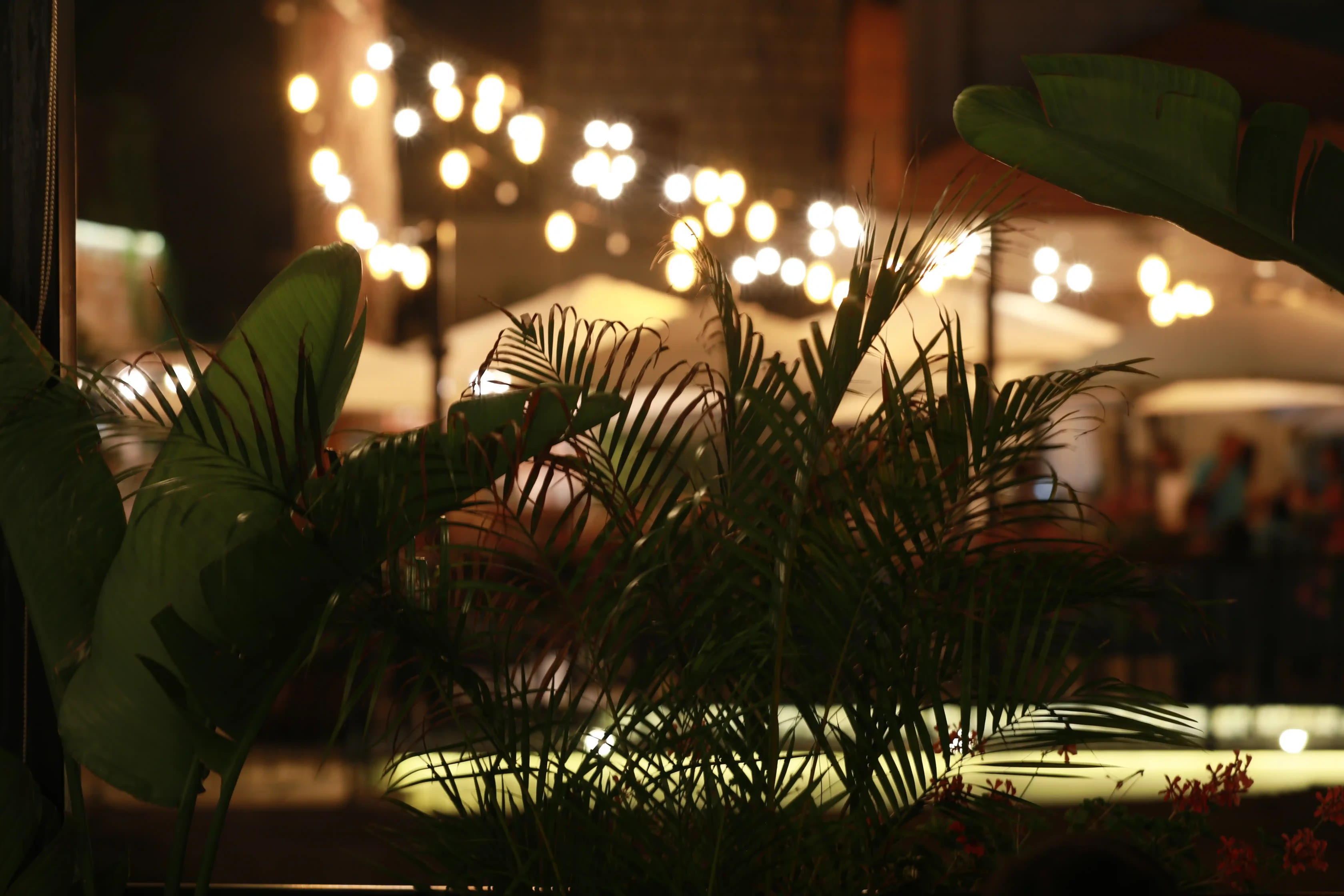 broumana villa experience